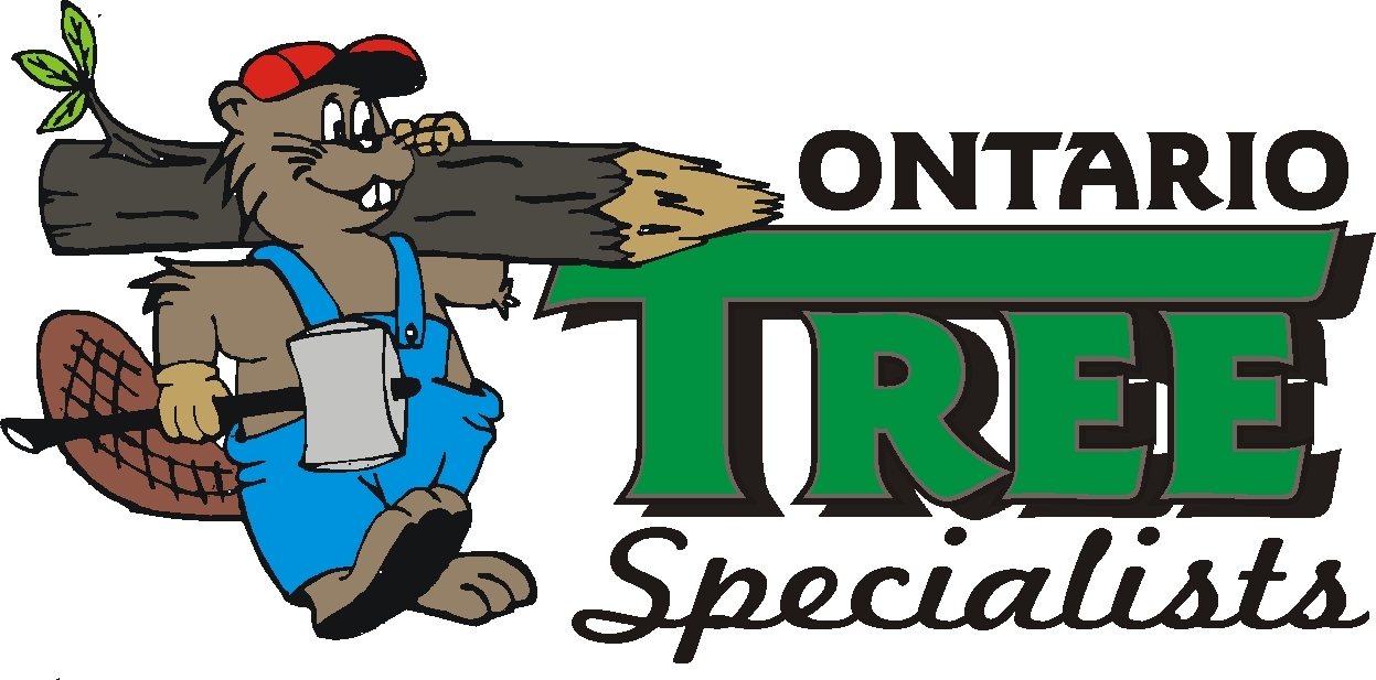 Ontario_Tree_Specialists1%5B1%5D.JPG